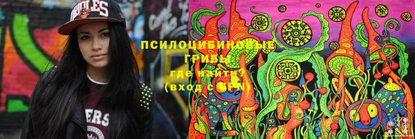 spice Верхний Тагил