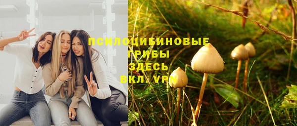 стафф Верея