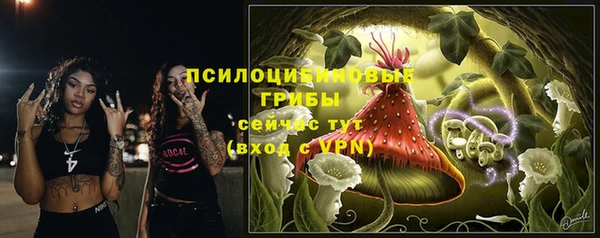 2c-b Туринск