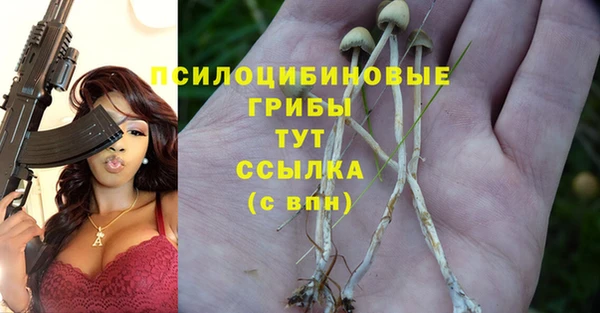 стафф Верея