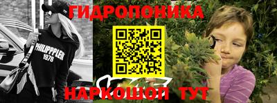 крисы Гусев