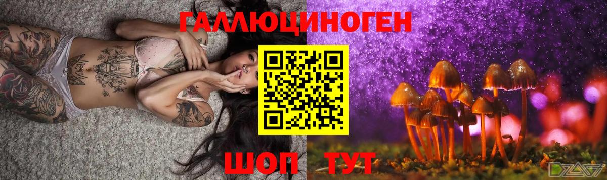 где продают   Галлюциногенные грибы Cubensis  Вход с VPN  Клинцы 