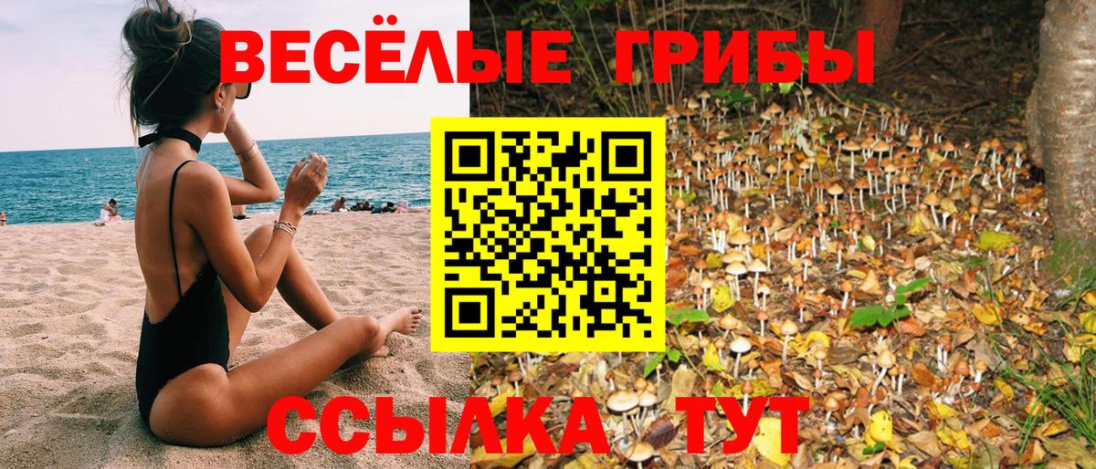 Галлюциногенные грибы ЛСД Клинцы